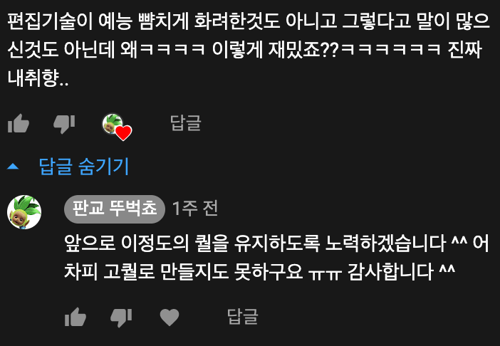 고퀄이 아님에도 만족하신 한 시청자의 댓글.